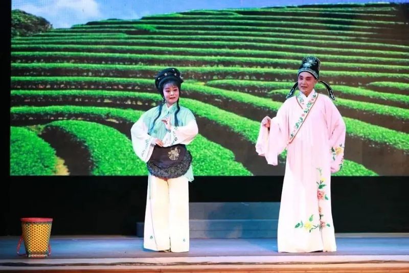 有关于寿宁凤阳：甜美田园茶飘香的内容(5)