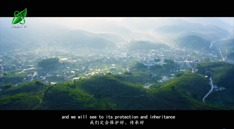 有关于安溪铁观音茶文化系统获颁“全球重要农业文化遗产”证书的新闻(2)