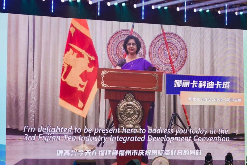 关于国际茶日聚榕城 福茶产业展新颜——第三届“三茶”融合高质量发展大会在福州隆重举办的相关信息(7)