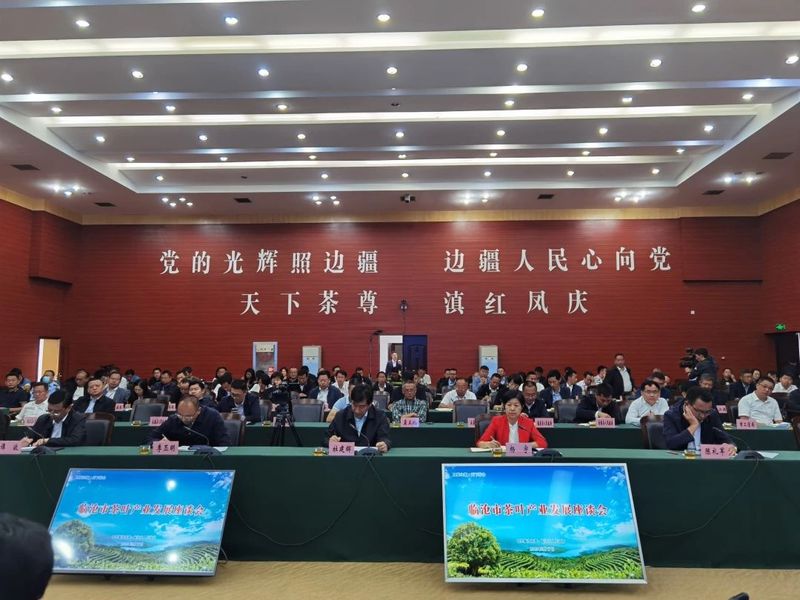 有关于临沧市茶叶产业发展座谈会的内容