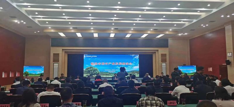 有关于临沧市茶叶产业发展座谈会的内容(5)