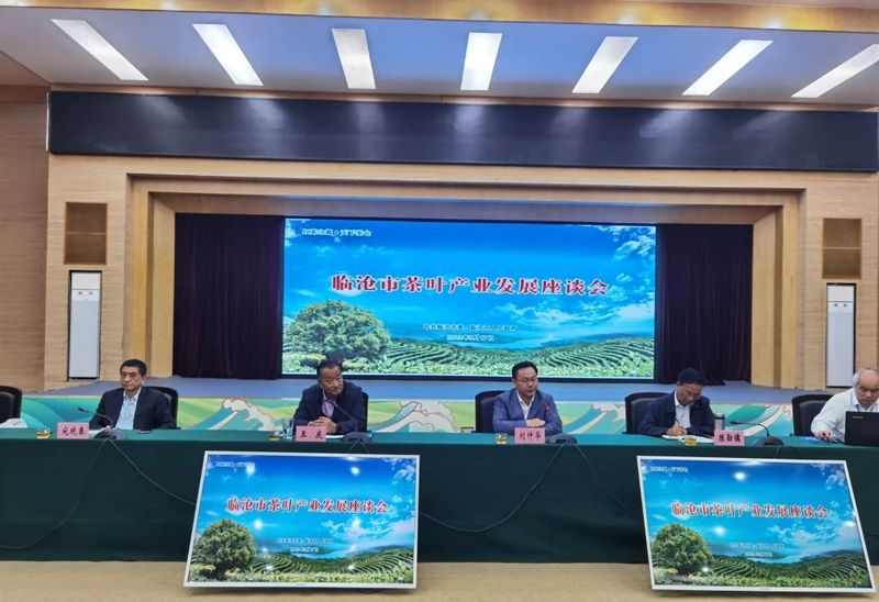 有关于临沧市茶叶产业发展座谈会的内容(1)