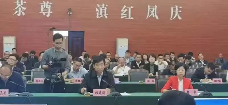 有关于临沧市茶叶产业发展座谈会的内容(4)