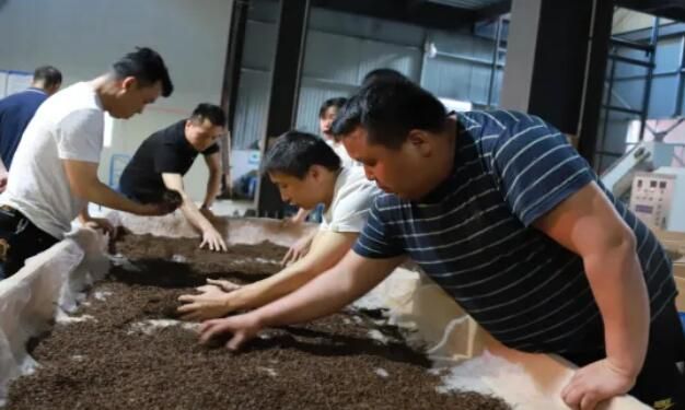 关于湘西州级专家工作站为保靖县茶产业腾飞助力的相关内容(2)