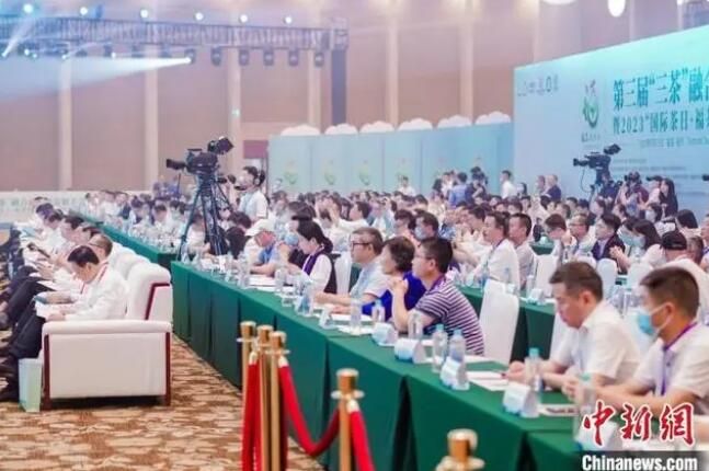 有关于2023年5·21国际茶日：让福茶行天下的信息(1)