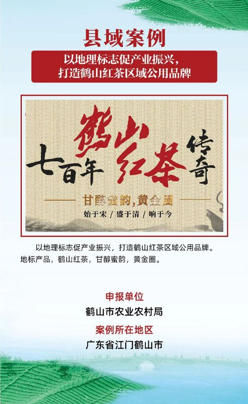 有关于茶乡旅游发展大会,全国“三茶”统筹发展典型案例发布的相关信息(5)