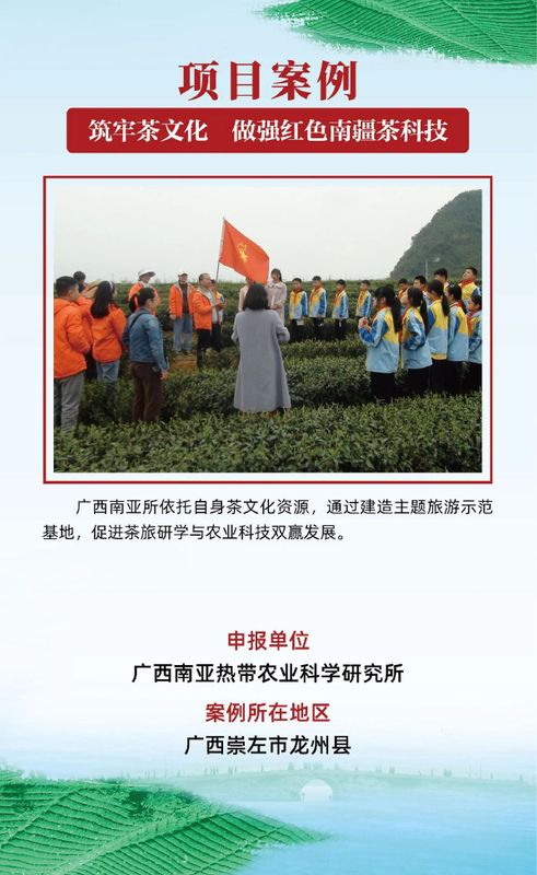 有关于茶乡旅游发展大会，全国“三茶”统筹发展典型案例发布的相关信息(13)