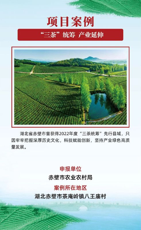 有关于茶乡旅游发展大会，全国“三茶”统筹发展典型案例发布的相关信息(11)