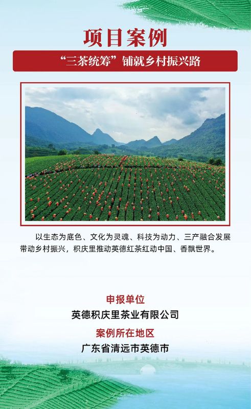 有关于茶乡旅游发展大会，全国“三茶”统筹发展典型案例发布的相关信息(14)