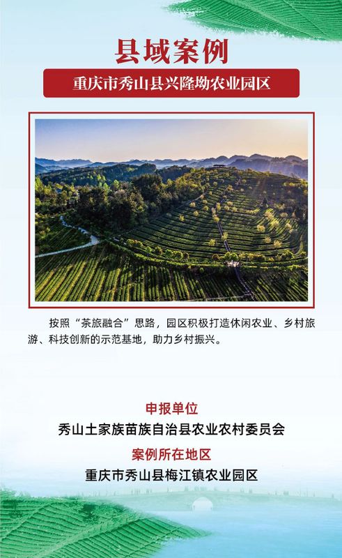 有关于茶乡旅游发展大会，全国“三茶”统筹发展典型案例发布的相关信息(8)