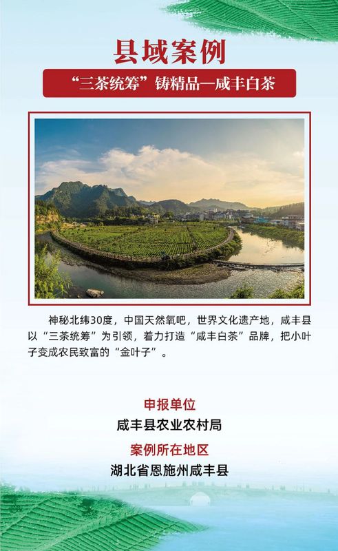 有关于茶乡旅游发展大会，全国“三茶”统筹发展典型案例发布的相关信息(9)