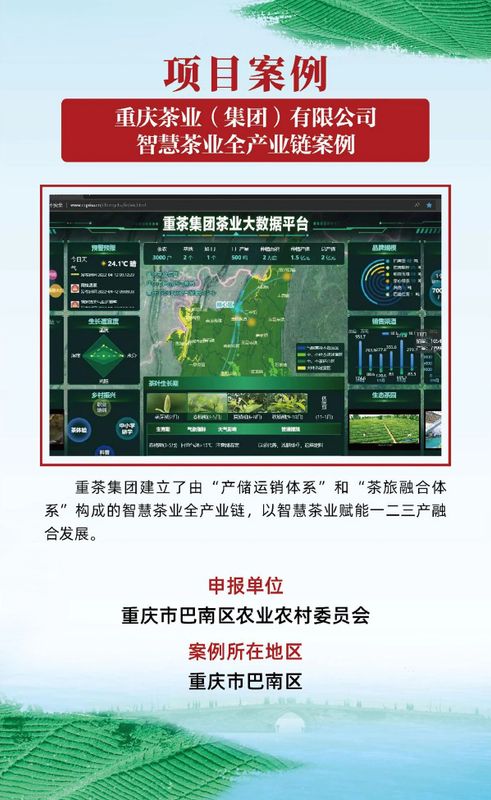 有关于茶乡旅游发展大会，全国“三茶”统筹发展典型案例发布的相关信息(17)