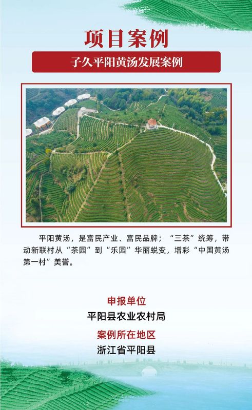 有关于茶乡旅游发展大会，全国“三茶”统筹发展典型案例发布的相关信息(19)