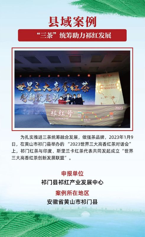 有关于茶乡旅游发展大会，全国“三茶”统筹发展典型案例发布的相关信息(10)