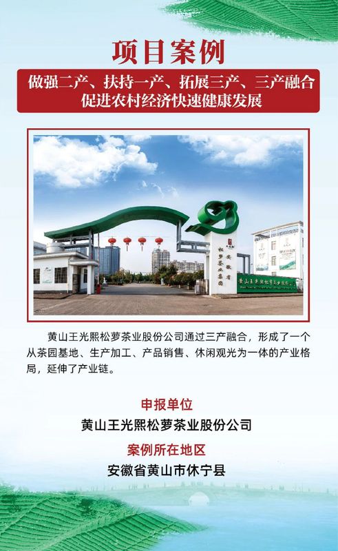 有关于茶乡旅游发展大会，全国“三茶”统筹发展典型案例发布的相关信息(16)