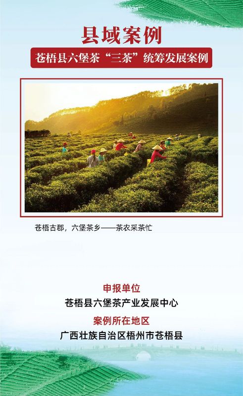 有关于茶乡旅游发展大会,全国“三茶”统筹发展典型案例发布的相关信息(2)