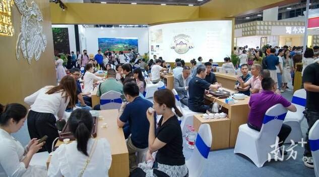 有关于广州茶博会开幕，专家热议未来“茶机”在何方的信息(3)