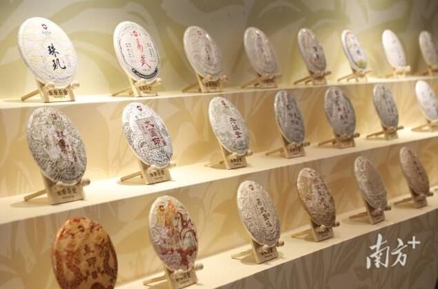 有关于广州茶博会开幕，专家热议未来“茶机”在何方的信息(2)
