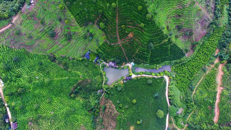 关于“茶船古道·新丝路”六堡茶行销全球2023杭州站暨梧州六堡茶投资推介会在杭举行的资讯(22)