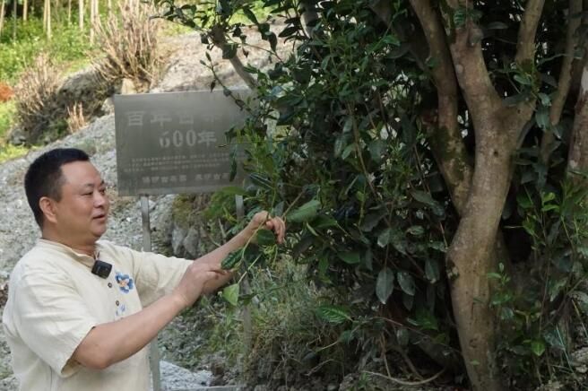 关于探秘西路边茶之北川古羌罐罐茶的最新消息