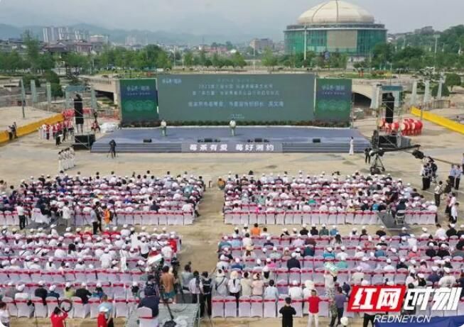 关于“莓茶有爱 莓好湘约”2023第三届中国·张家界莓茶文化节开幕的资讯