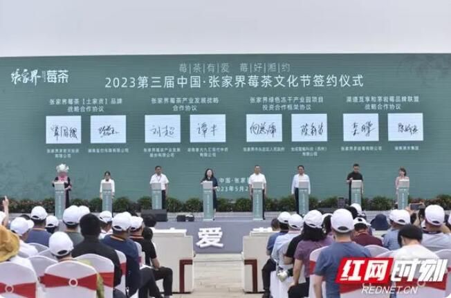 关于“莓茶有爱 莓好湘约”2023第三届中国·张家界莓茶文化节开幕的资讯(2)