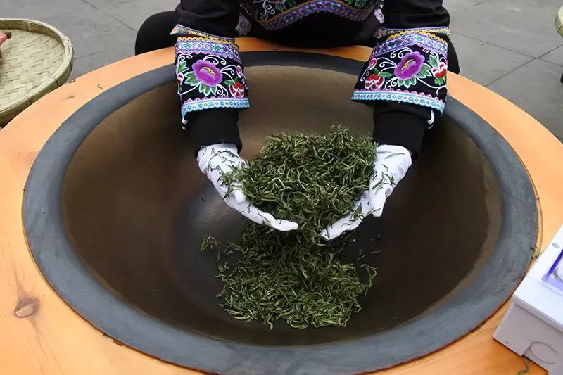 关于黔西南：茶产业变成“金饭碗”的信息(8)