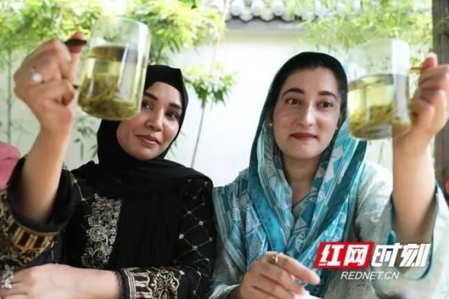 关于南华大学：留学生体验中国茶文化的相关内容(5)