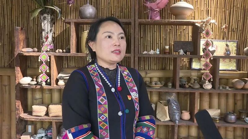 有关于南糯山茶旅融合促振兴的信息(15)