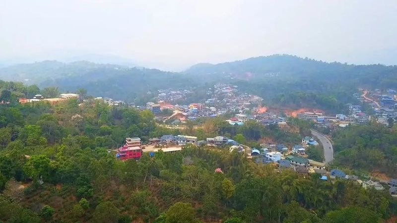 有关于南糯山茶旅融合促振兴的信息(14)