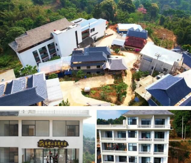 有关于南糯山茶旅融合促振兴的信息(7)