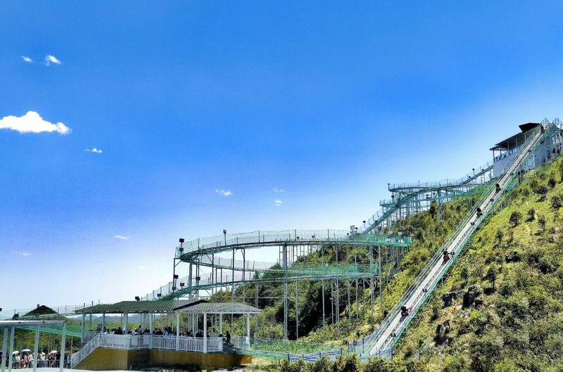 有关于茶园与“原始杜鹃林带”相融共艳—百里杜鹃管理区茶乡旅游精品线路的内容(1)