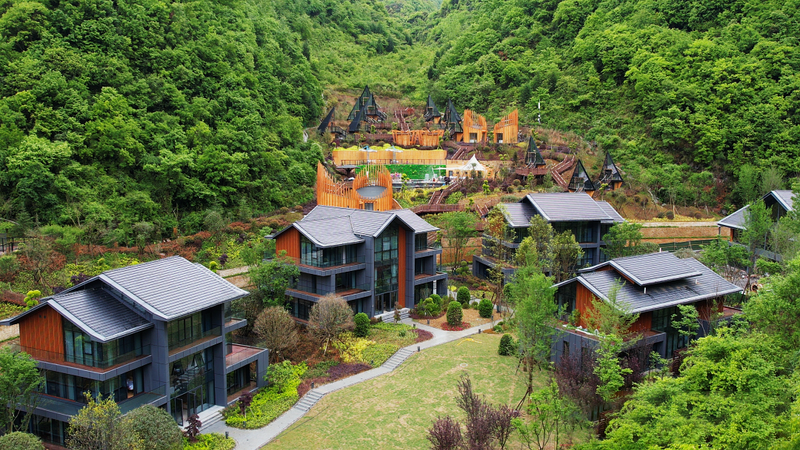 有关于茶园与“原始杜鹃林带”相融共艳—百里杜鹃管理区茶乡旅游精品线路的内容(2)