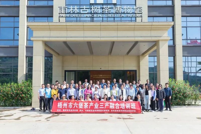 有关于梧州六堡茶产业三产融合培训班在西双版纳顺利举办的相关内容