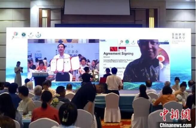 关于中国茶叶学会举办云茶会 邀海内外共品共享的相关信息(2)