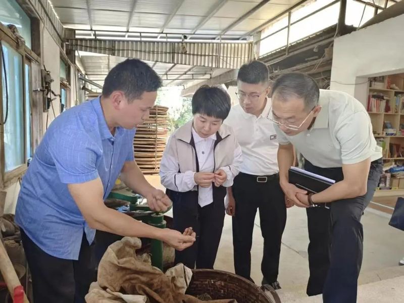 有关于小茶叶撑起大产业 泉港区领导调研茶产业发展状况的相关内容(1)