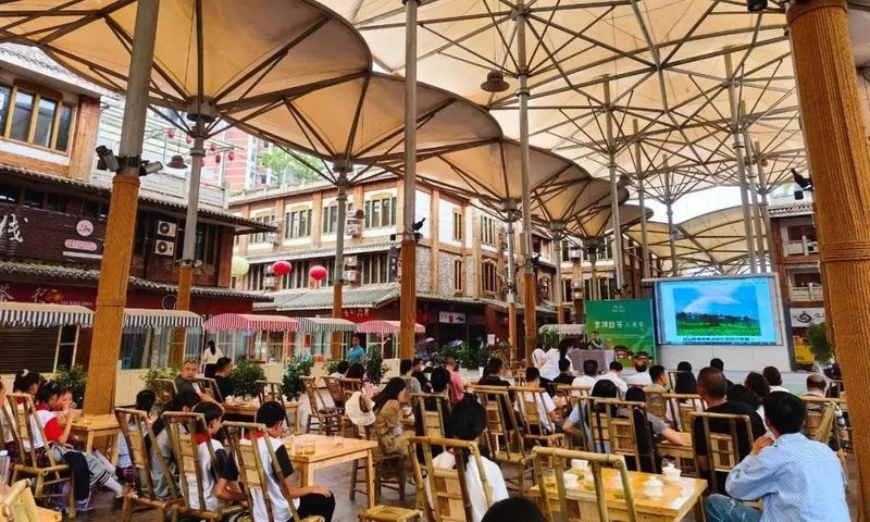 关于蒙顶甘露全国品鉴会（线上）分会场一起互动，一起精彩的相关内容(2)