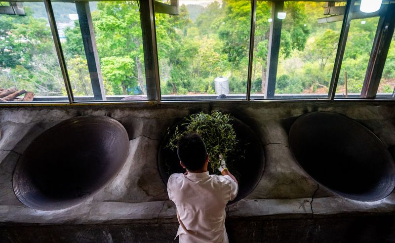 关于从彩云之南到东非高原 海拔千米散茶香的新闻(4)