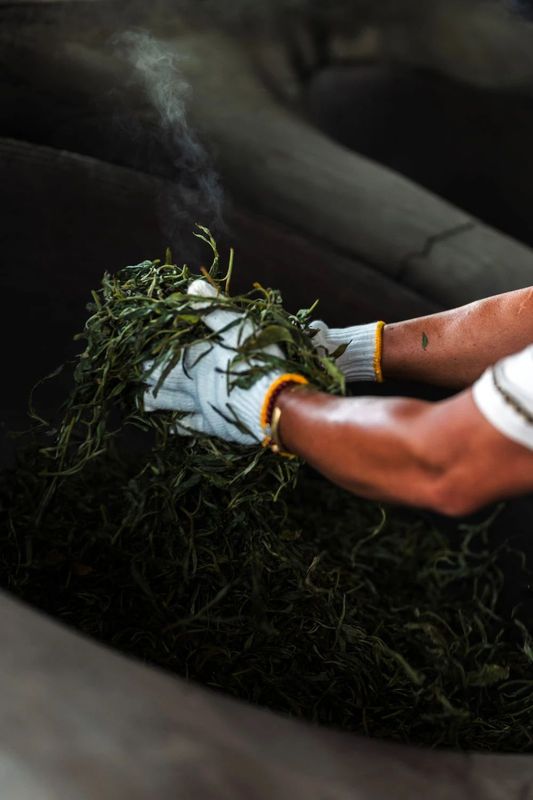 关于从彩云之南到东非高原 海拔千米散茶香的新闻(5)