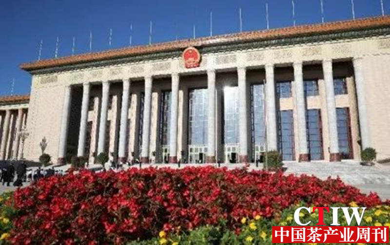 关于湖南“挑担茶叶上北京—湘茶大会”在长沙橘子洲举行的消息(16)