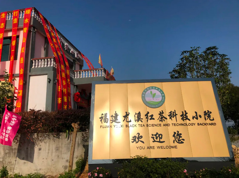 有关于深耕红茶品类，这个茶叶产区正开启新发展路径的消息(4)