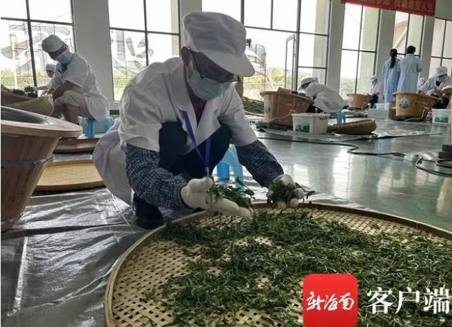 有关于全国农业行业职业技能大赛茶叶加工赛项海南选拔赛白沙开赛的内容