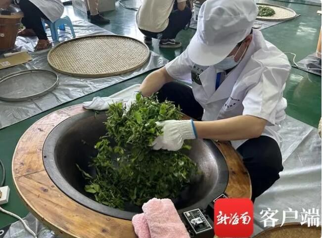 有关于全国农业行业职业技能大赛茶叶加工赛项海南选拔赛白沙开赛的内容(1)