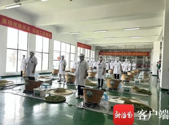有关于全国农业行业职业技能大赛茶叶加工赛项海南选拔赛白沙开赛的内容(2)