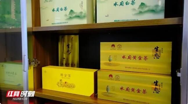 关于点“绿”成金 湘乡毛田茶“沏出”乡村致富路的资讯(5)