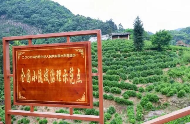 有关于安徽贵池霄坑村：以茶旅融合助推乡村振兴的最新消息(2)