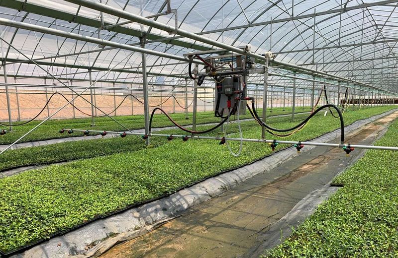 有关于江苏南京市现代茶产业高质量发展纪实的相关内容(1)