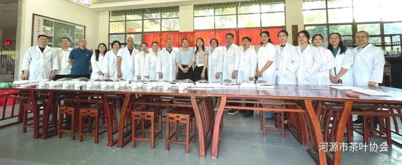 关于2023年河源市春茶审评会顺利举办的内容