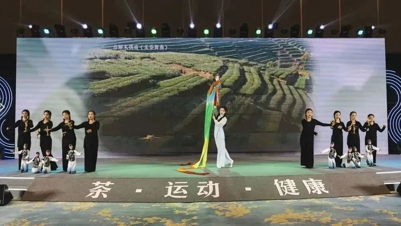 关于泰顺“茶仙子”惊艳亮相国际舞台的相关内容(3)