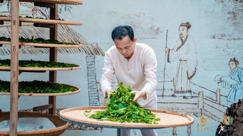 关于2023年“国际茶日”中国主场活动广东（潮州）分会场活动成功举办！的相关内容(6)